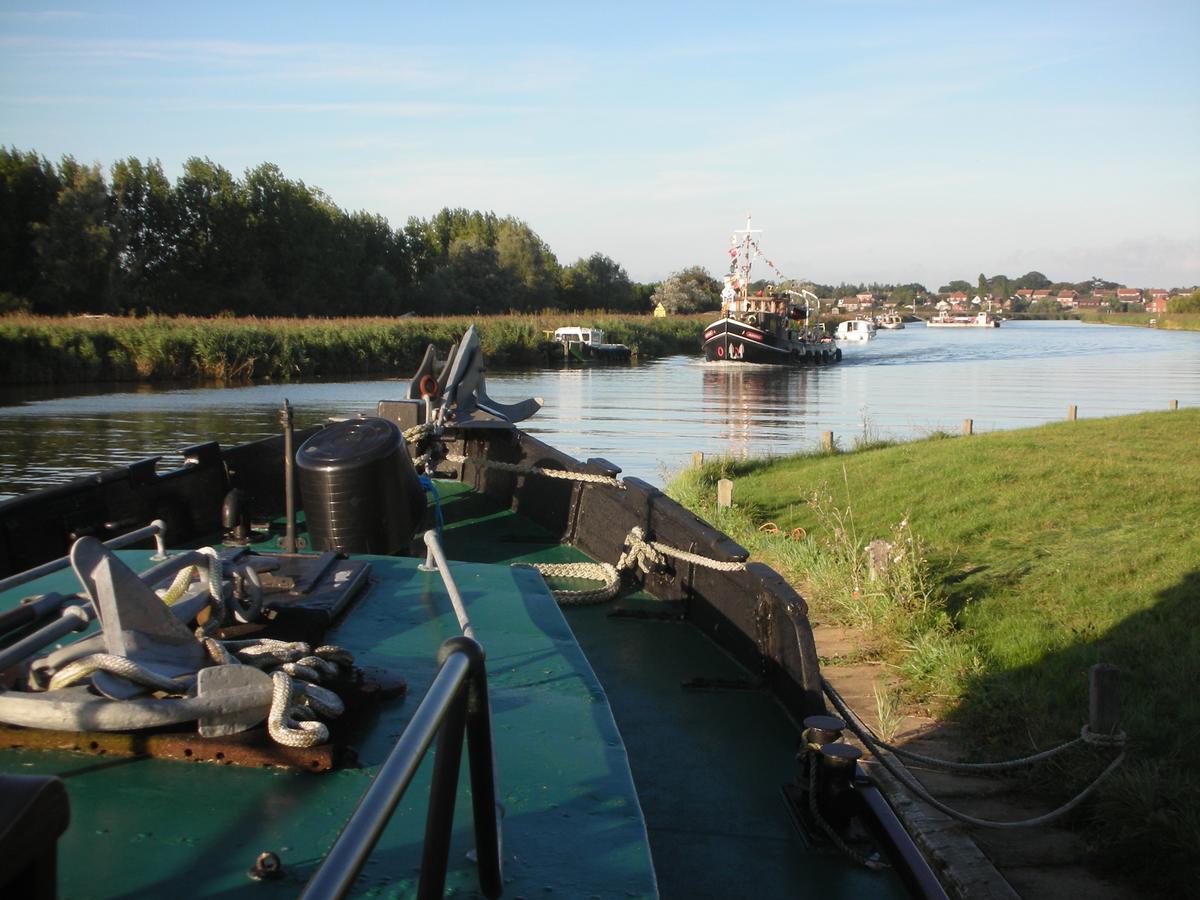 The Cockatrice B&B Reedham Kültér fotó